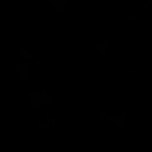 Meet your Posher, Andre